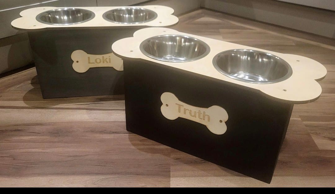 Raised Double Pet feeder