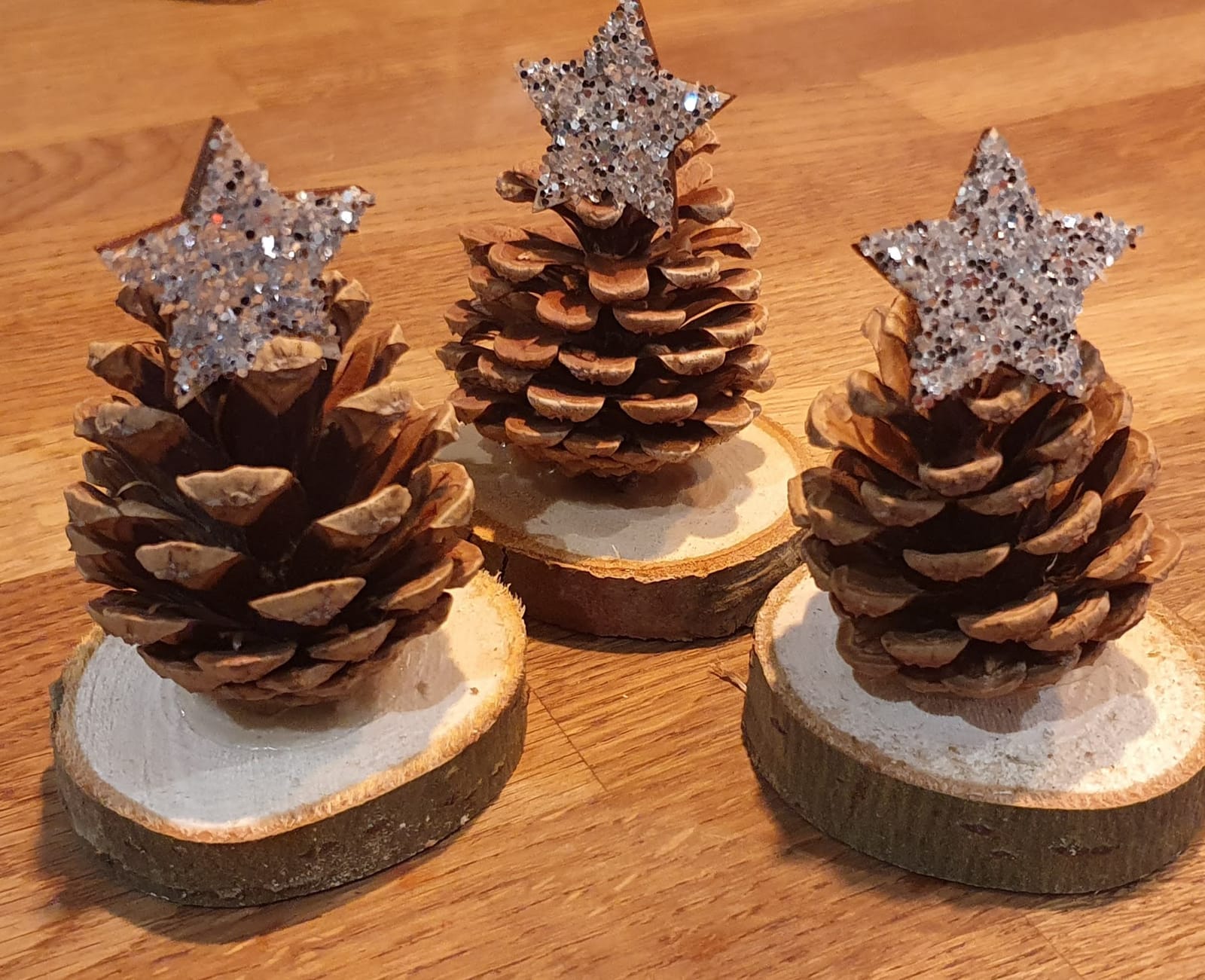Pine cone trees